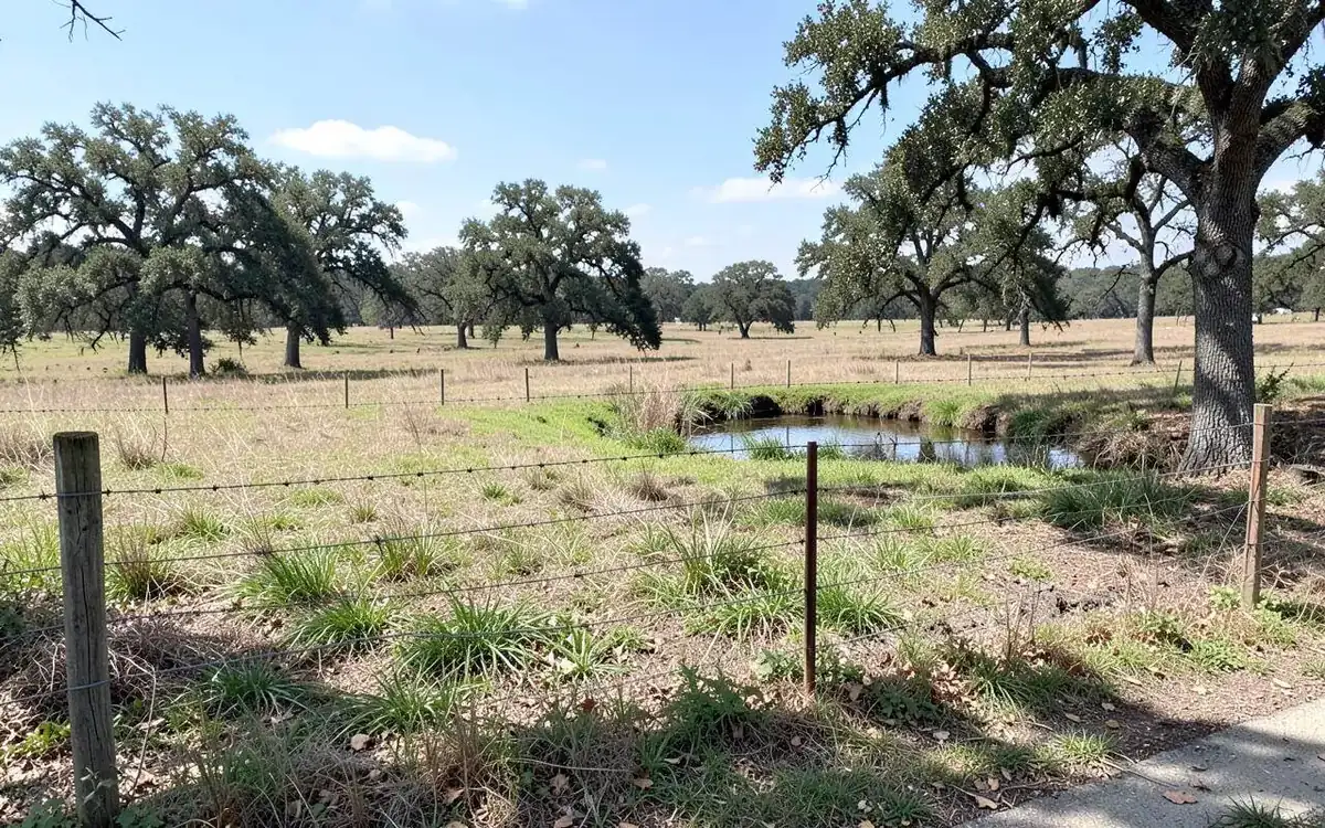 Fenced cattle pasture with a small pond and scattered oaks in North Mississippi