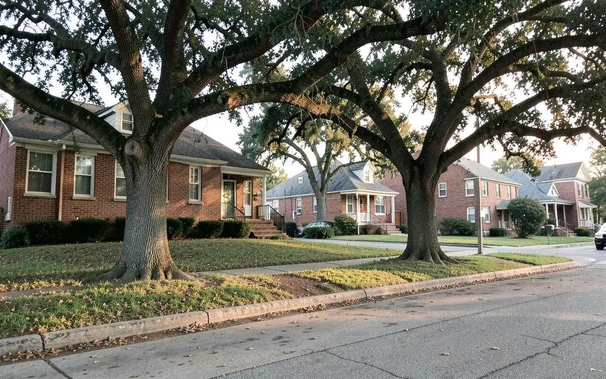Established Tupelo, Mississippi neighborhood with modest homes and mature trees